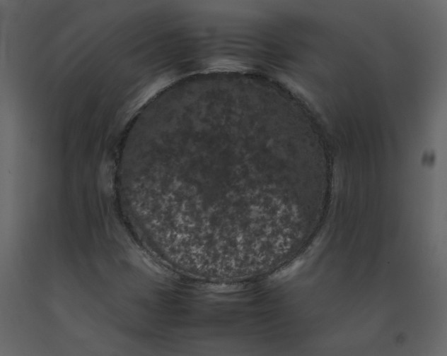 X0000092251401200710051249