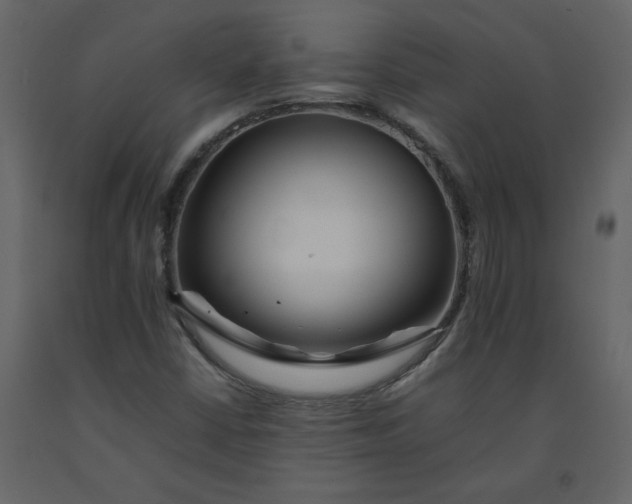 X0000092251402200710051249