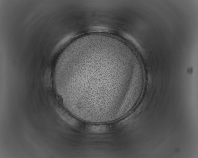 X0000092251403200710051249