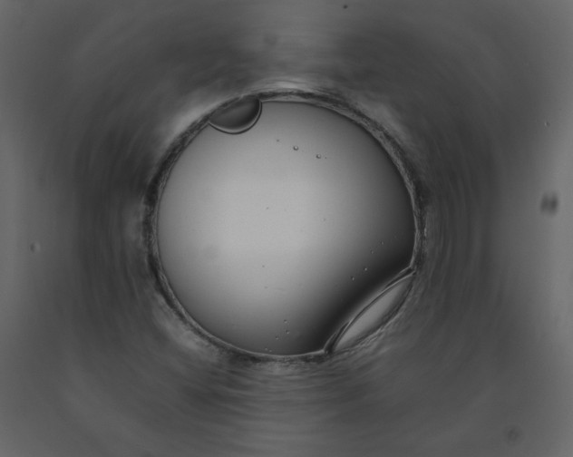 X0000092251404200710051249