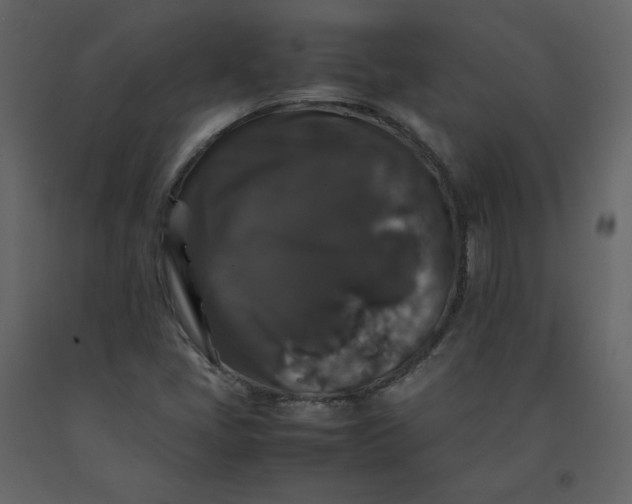 X0000092251405200710051249