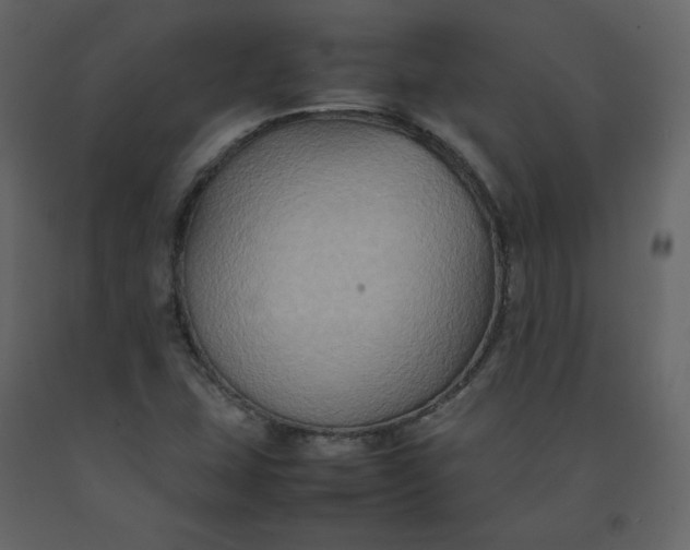 X0000092251407200710051250