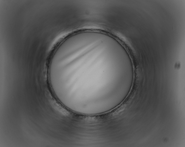 X0000092251408200710051250