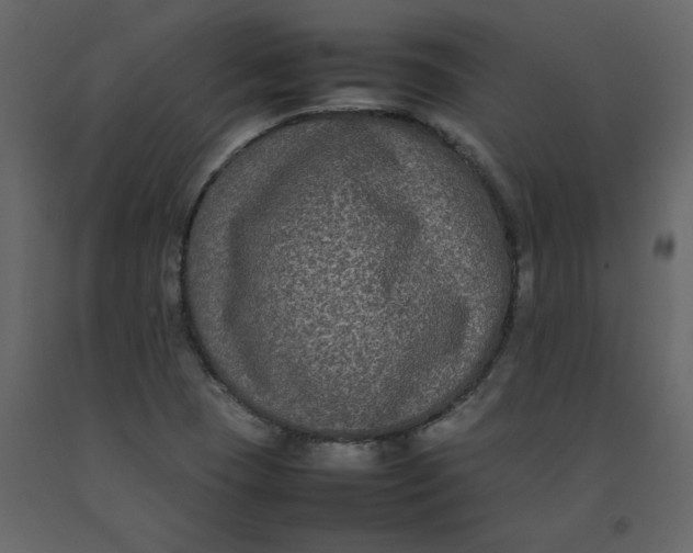 X0000092251409200710051250