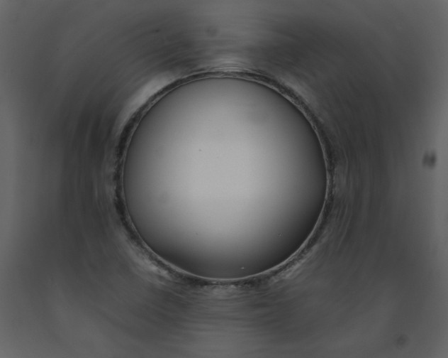 X0000092251410200710051250