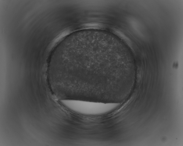 X0000092251411200710051250