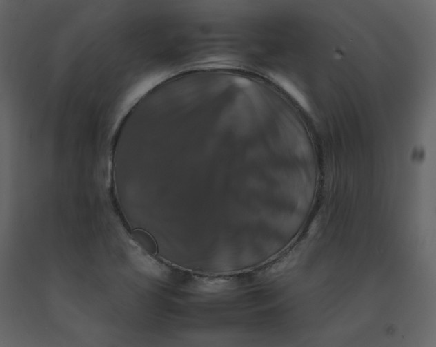 X0000092251413200710051250