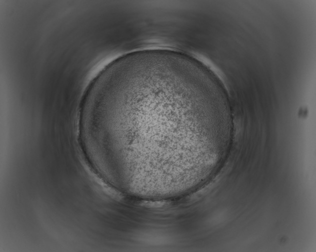 X0000092251415200710051250