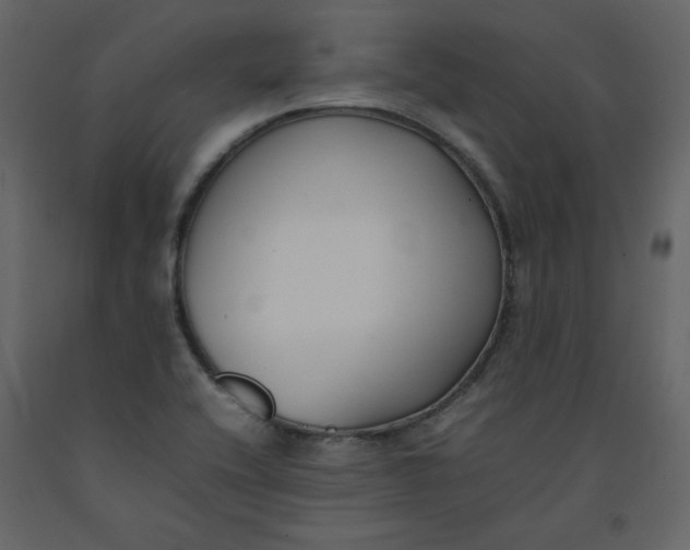 X0000092251416200710051250