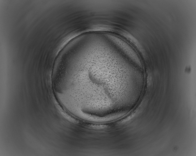 X0000092251417200710051250