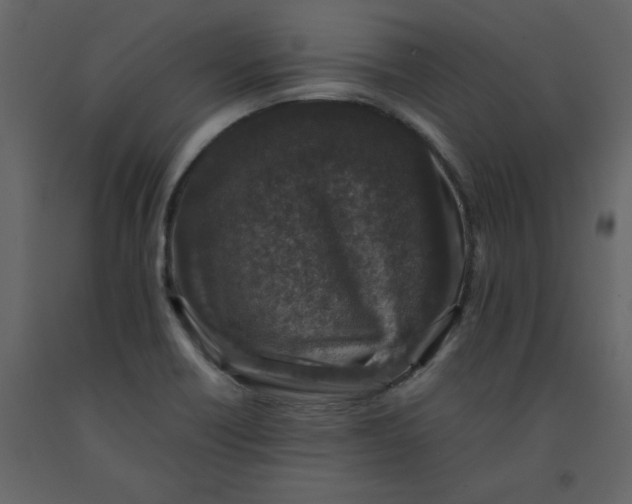 X0000092251418200710051250