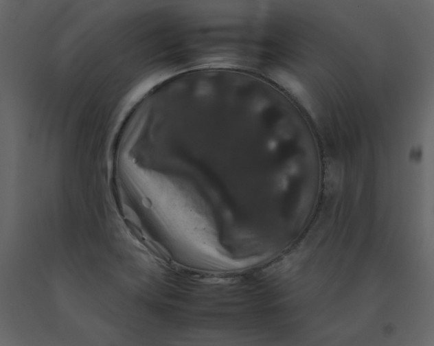 X0000092251419200710051250