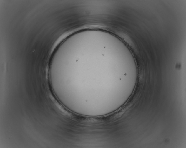 X0000092251420200710051250