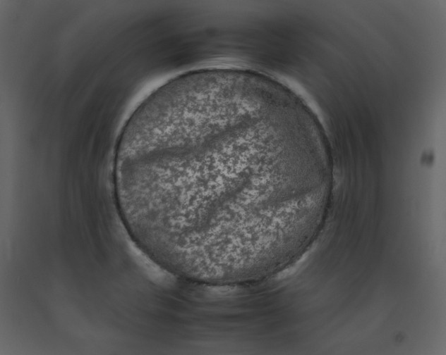 X0000092251421200710051250