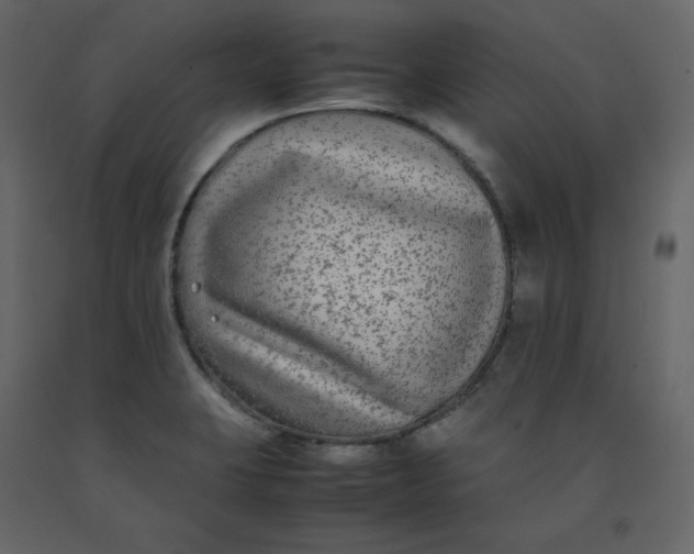 X0000092251423200710051250