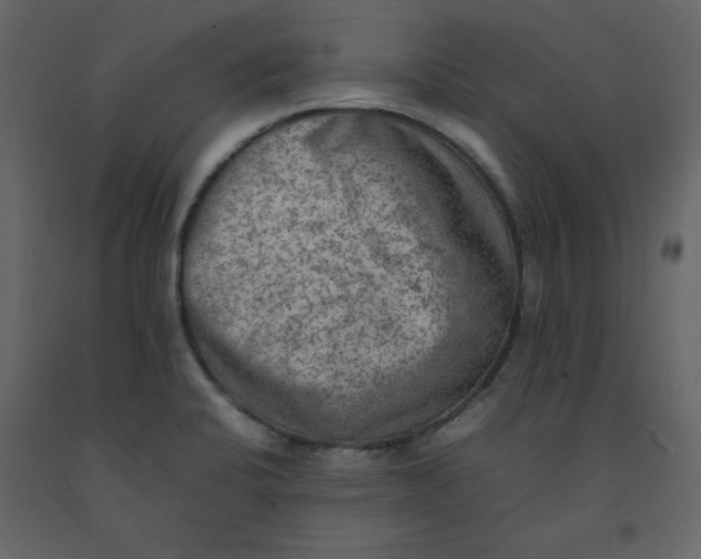 X0000092251424200710051250