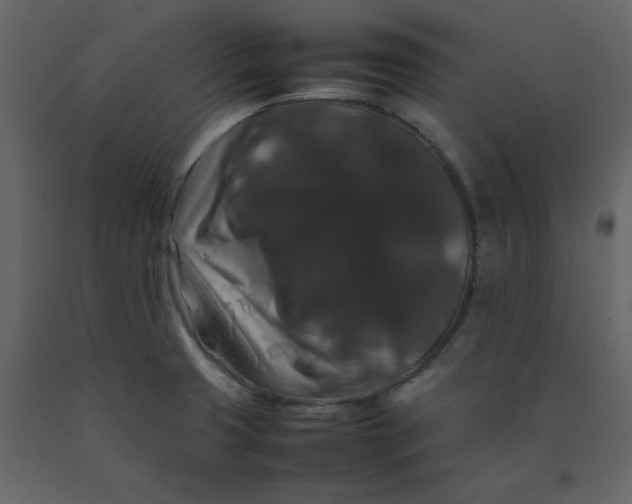 X0000092251425200710051250