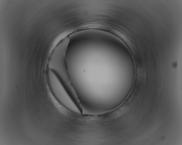 X0000092251426200710051250