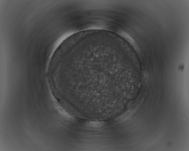 X0000092251427200710051250