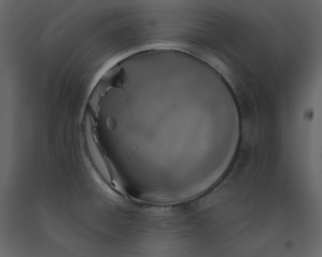 X0000092251428200710051250