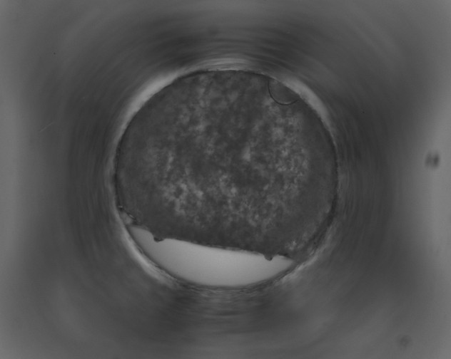 X0000092251429200710051250