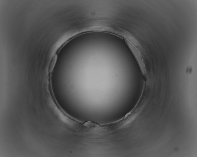 X0000092251430200710051250