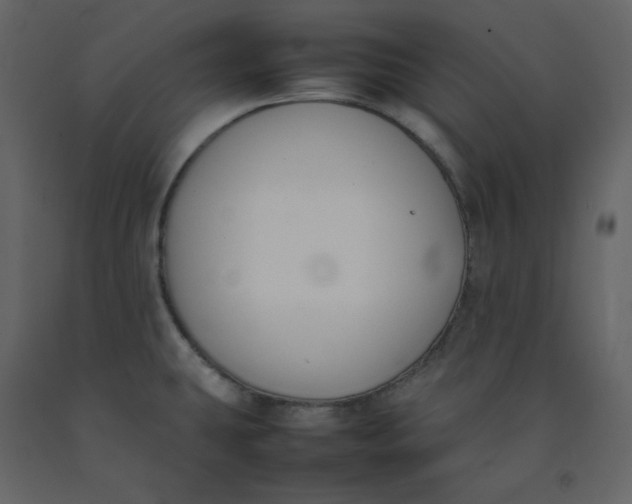 X0000092251431200710051250