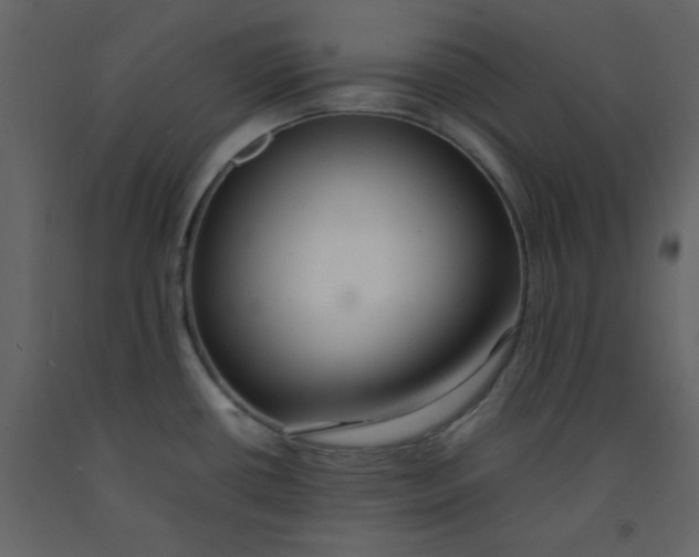 X0000092251434200710051250