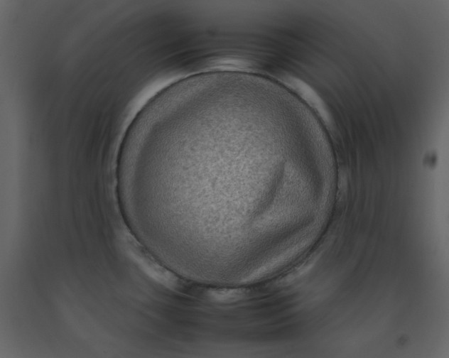 X0000092251435200710051250