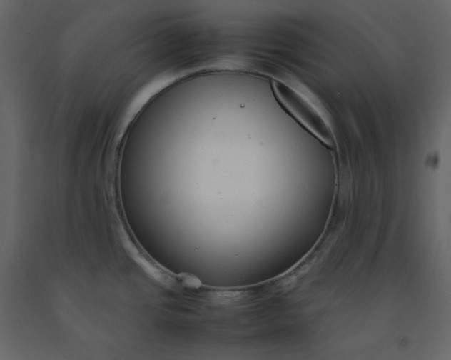 X0000092251437200710051250