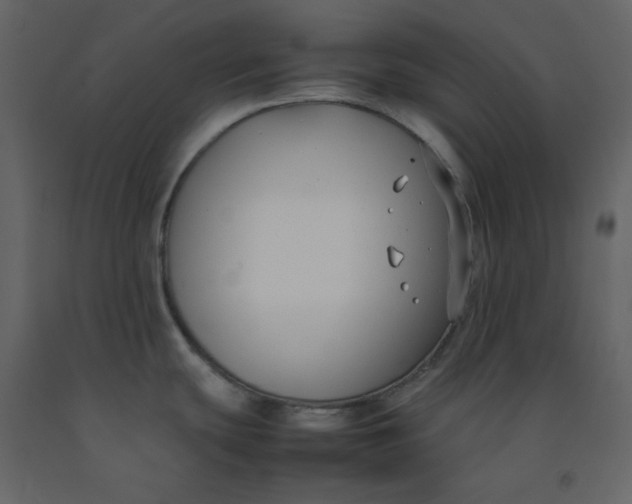 X0000092251439200710051250