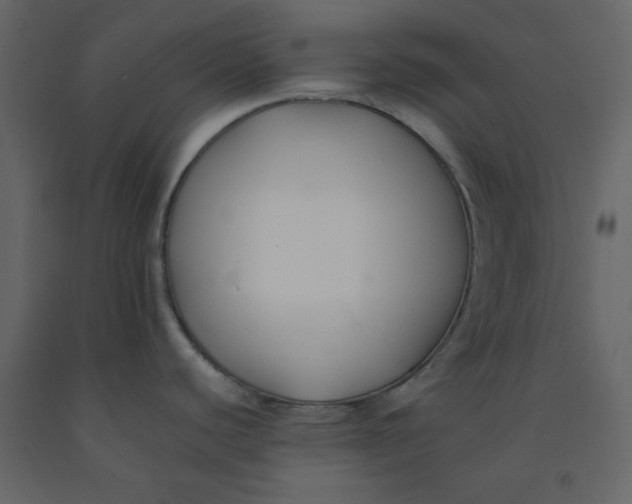 X0000092251440200710051250