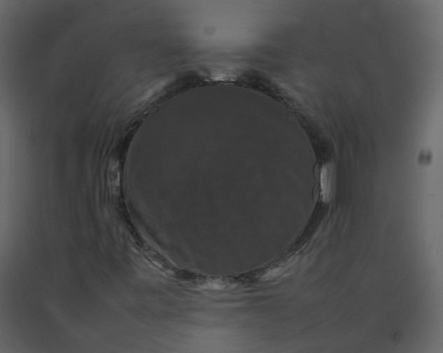 X0000092251443200710051249