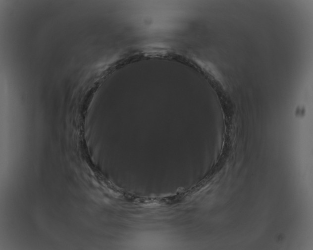 X0000092251445200710051249