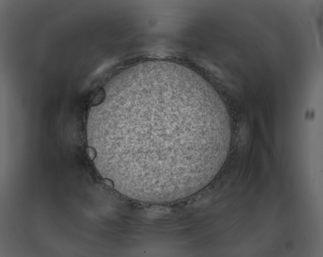 X0000092251446200710051249