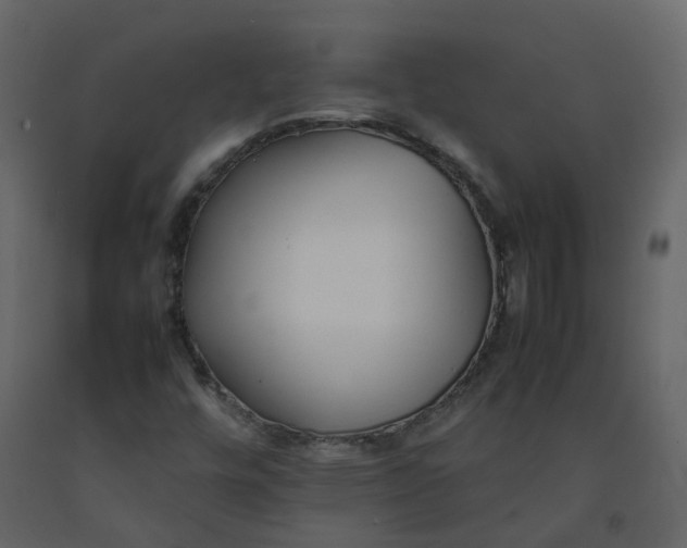 X0000092251448200710051249