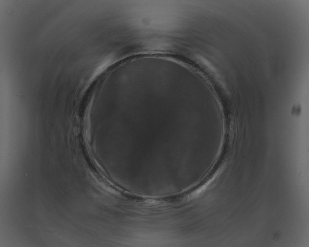 X0000092251449200710051249