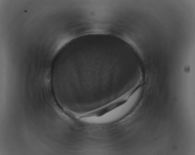 X0000092251450200710051249