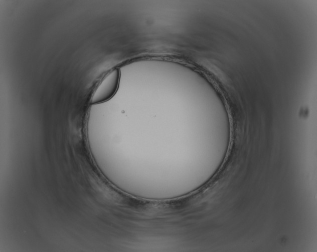 X0000092251451200710051249