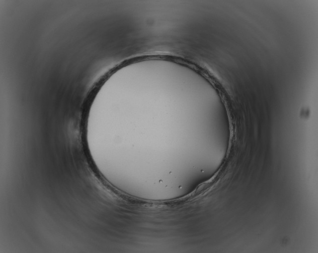 X0000092251452200710051249