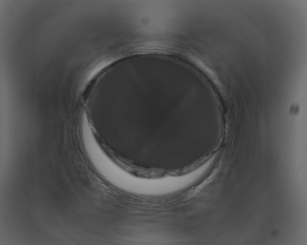 X0000092251453200710051249