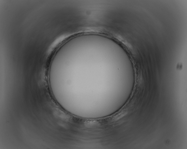 X0000092251454200710051249