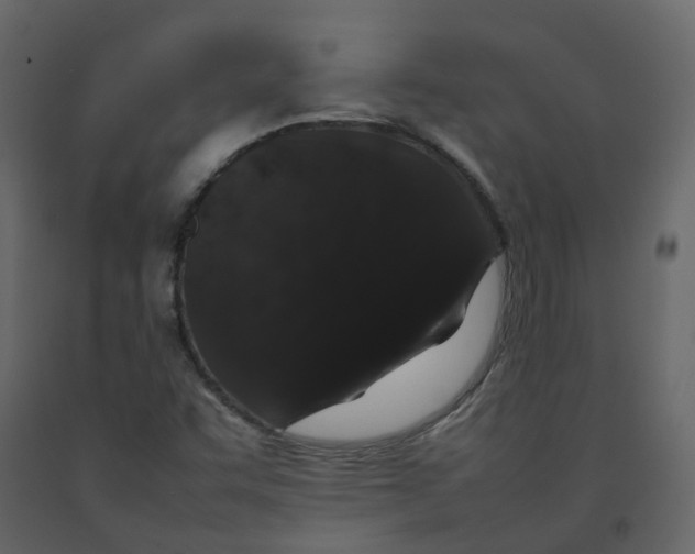 X0000092251455200710051249