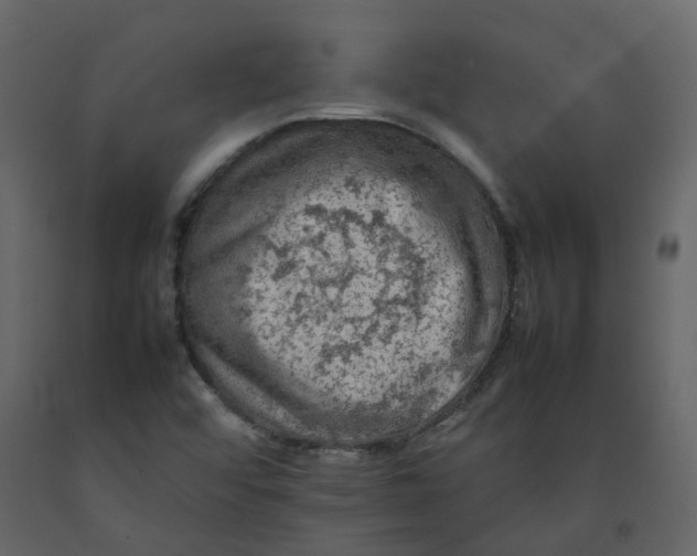 X0000092251456200710051249