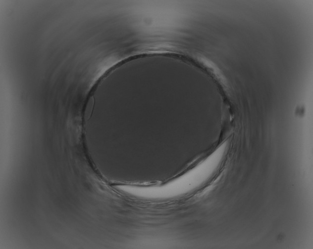 X0000092251457200710051249