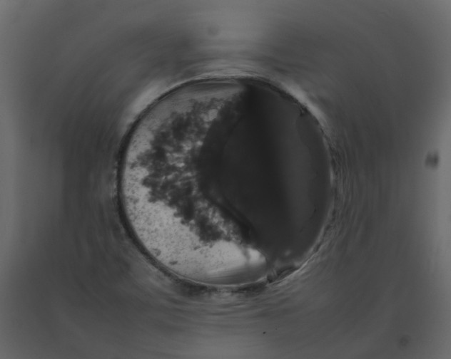 X0000092251459200710051249