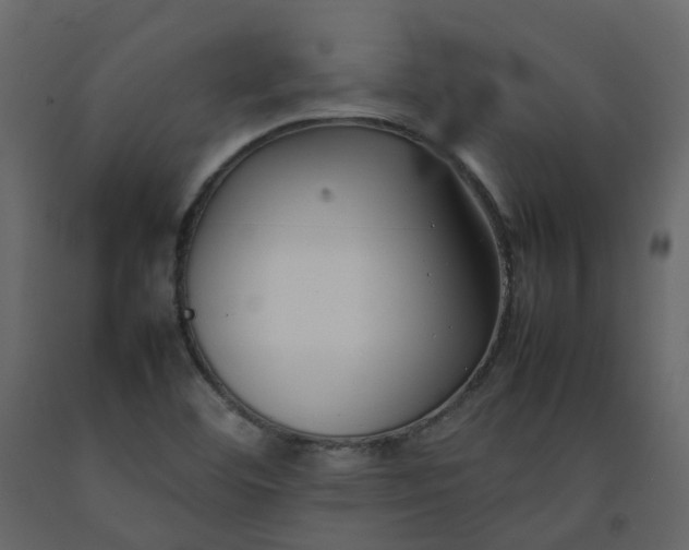 X0000092251460200710051249