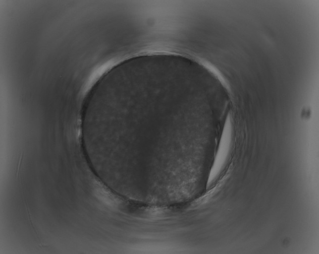 X0000092251461200710051249