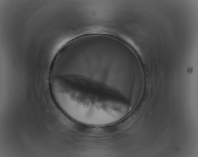 X0000092251463200710051249