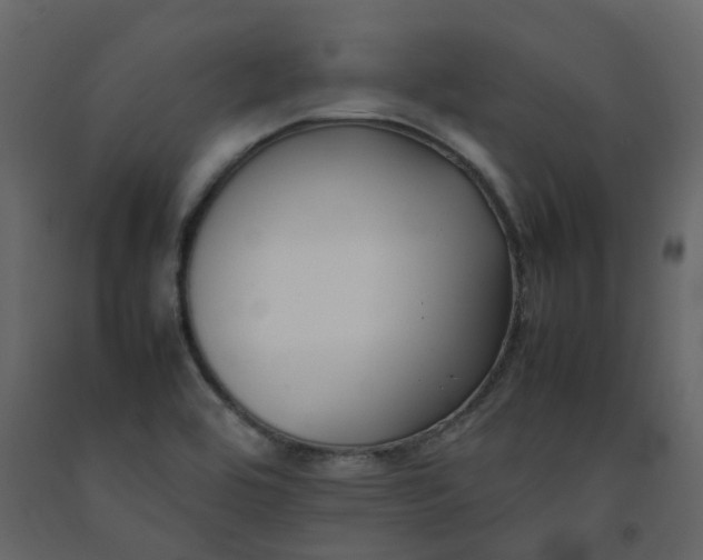 X0000092251464200710051249